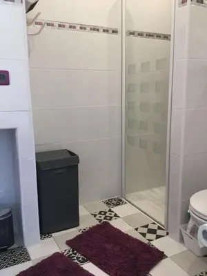 a bathroom with a shower and a toilet at Beautiful provencal vacation rental in L'Isle sur la Sorgue in LʼIsle-sur-la-Sorgue