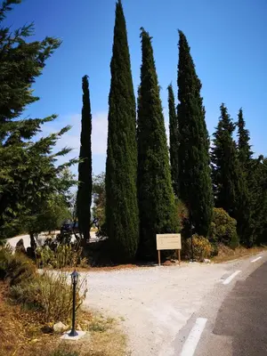 a group of trees on the side of a road at La Bastide du Limon in Mormoiron