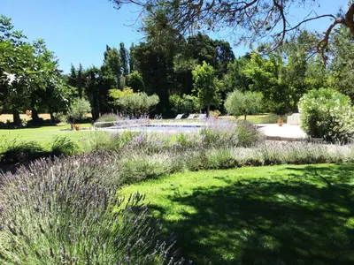 a garden with purple flowers in a park at superb prestigious mas with pool in the countryside of caumont sur durance, close to avignon, sleeps 8 in Caumont-sur-Durance