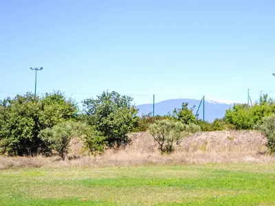 a giraffe standing in a field with trees and mountains at Holiday Home L'Oliveraie by Interhome in Saint-Didier