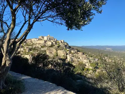a village on a hill with a field of purple flowers at Bastidon à Gordes avec piscine in Gordes