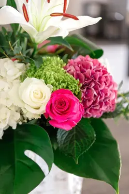 a vase filled with pink and white flowers at chez nico in Bédoin
