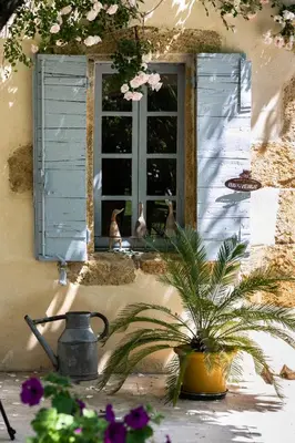 a potted plant sitting in front of a window at Gîtes Domaine des Machottes in Grans