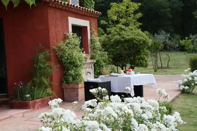 a table set up in a garden with white flowers at Villa des Roses in Roussillon