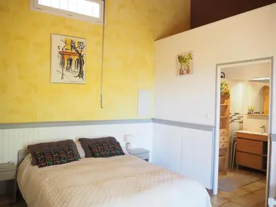 a bedroom with a bed and a sink at Chalet by Mont Ventoux with Stunning Views in Bédoin