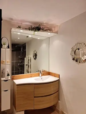a bathroom with a sink and a large mirror at Côté Terrasse in Apt