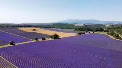 a view of a field with mountains in the distance at Côté Terrasse in Apt
