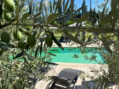 a chair sitting next to a swimming pool at Mas de Nonin St Rémy de Provence in Noves