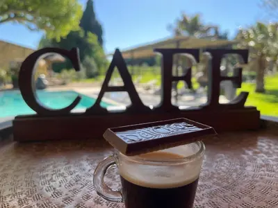 a cup of coffee with a cookie on top of it at Mas de Nonin St Rémy de Provence in Noves
