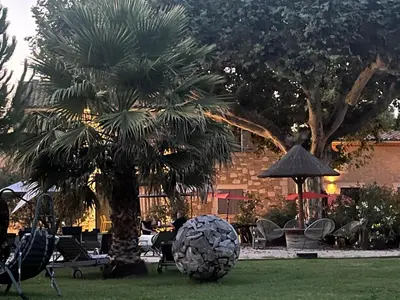 a palm tree in a park with a ball in the grass at Mas de Nonin St Rémy de Provence in Noves