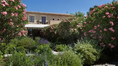 a garden with pink flowers in front of a building at Le Jas de Gordes in Gordes