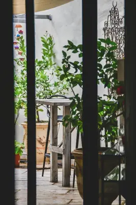 a table and a chair in a room with plants at Escapade en Provence in LʼIsle-sur-la-Sorgue