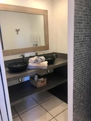 a bathroom with two sinks and a large mirror at Gîte Crillon - Mas Les Fleurs d'Hilaire in Monteux