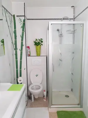 a white bathroom with a toilet and a shower at Location maison Monteux in Monteux