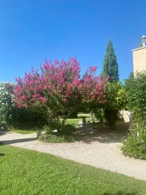 a swimming pool with two lawn chairs and flowers at Mas Les Fleurs d’Hilaire in Monteux