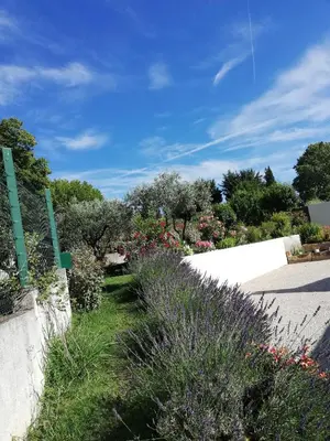 a garden with flowers and plants on a road at Sophie et Jamiel in Eyragues
