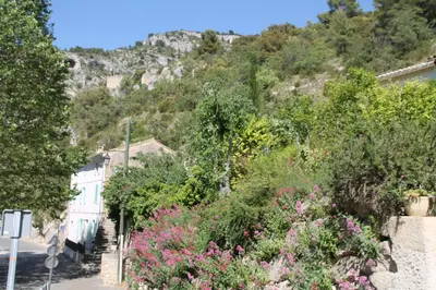 a hillside with trees and flowers on a street at Au bonheur de LILI in Fontaine-de-Vaucluse