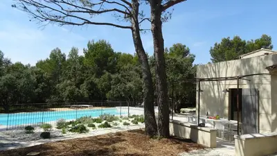 a house with a swimming pool and a tree at Maison atypique en Provence chez Brigitte in LʼIsle-sur-la-Sorgue
