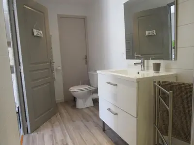 a bathroom with a toilet and a sink and a mirror at Résidence de gîtes La Sidoine du Mont-Ventoux in Crillon-le-Brave