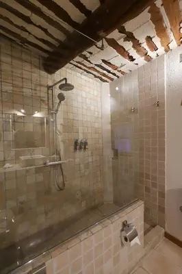 a bathroom with a shower and a sink at LA FERME DE LA HUPPE in Gordes
