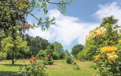 a garden with flowers and trees in the background at Maison 4 étoiles et Studio 3 étoiles indépendants avec piscine in LʼIsle-sur-la-Sorgue