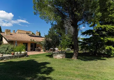 a house with a tree in the yard at Au Coeur des Vignes en Provence in Châteauneuf-de-Gadagne