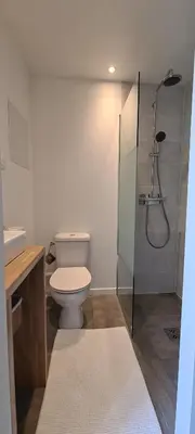 a bathroom with a toilet and a shower at La Bastide des Arts in Saumane-de-Vaucluse