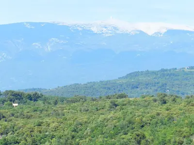 a view of a mountain with trees and snow at Gîte du Jardin des Espuys in Venasque