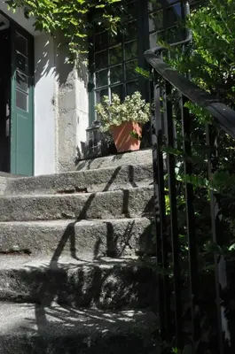 a potted plant sitting on the steps of a house at La demeure in Eyguières