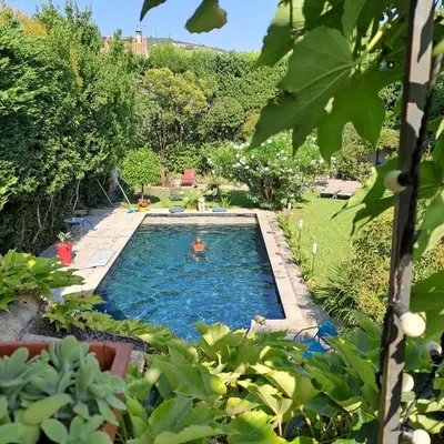 a swimming pool in a yard with trees at La demeure in Eyguières