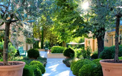 a garden with trees and shrubs in pots at Villa Saint-Ange in Aix-en-Provence