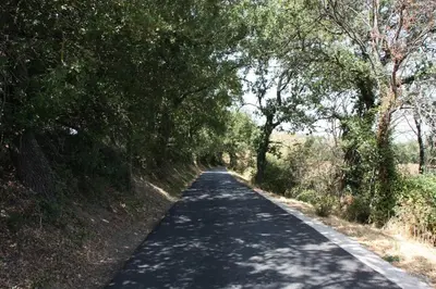 a long road with trees on both sides at Il Sole in Le Puy-Sainte-Réparade