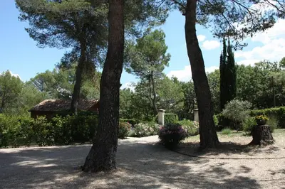 a group of trees with flowers in a park at Il Sole in Le Puy-Sainte-Réparade