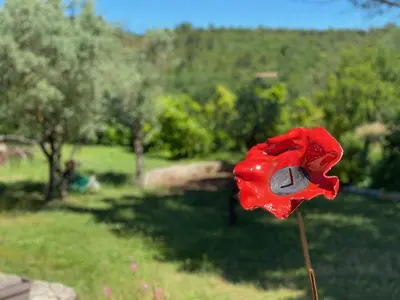 a red flower with a gray object in a field at Le mas de la diligence in Mirabeau