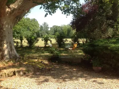 a garden with a tree and a chair under it at La Jacquemarie in Monteux