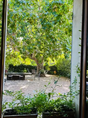 a window view of a park with a tree and a bench at Le Provençal Duplex piscine jardin le Luberon in Puyvert