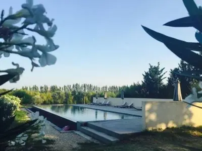 a large swimming pool in a yard with trees at Le Provençal Duplex piscine jardin le Luberon in Puyvert