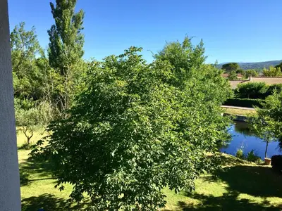 a tree in the middle of a field with a lake at Mas Le Pont des Aubes in LʼIsle-sur-la-Sorgue