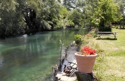 a pot of flowers sitting next to a river at Mas Le Pont des Aubes in LʼIsle-sur-la-Sorgue