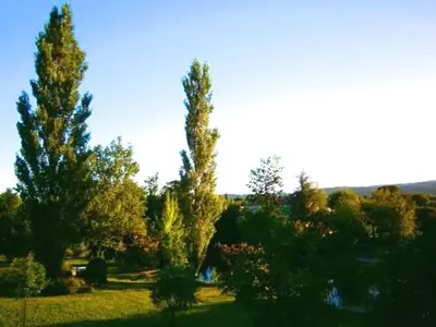 two trees in a field next to a river at Mas Le Pont des Aubes in LʼIsle-sur-la-Sorgue