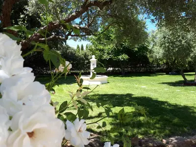 a grave in a garden with white flowers at la réveuse in Gordes