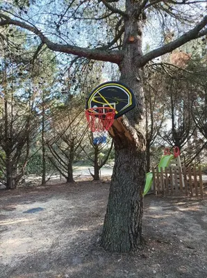 a tree with a basketball hoop attached to a tree at La Campanette en Luberon -Piscine privée in Cheval-Blanc