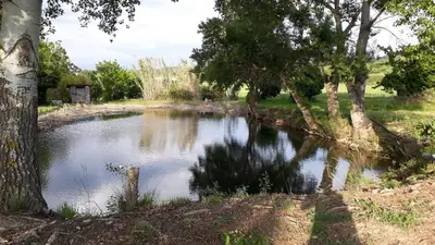 a pond of water with trees around it at Gîte du Mas Saint-Victor in Bonnieux