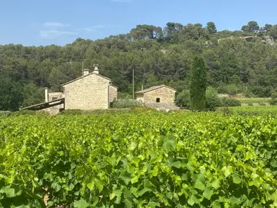 a field of crops with a barn in the background at La Manaude in Ménerbes