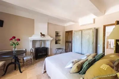 a bedroom with a bed and a desk and a fireplace at Le Mas Silvestre in Saint-Saturnin-les-Apt