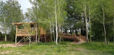 a tree house in the middle of the woods at LA CABANE PERCHEE in Villelaure