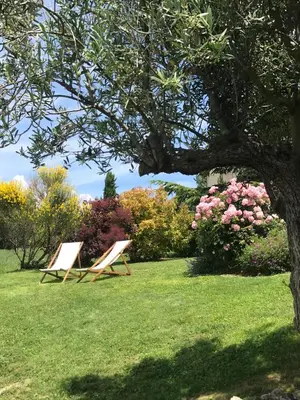two chairs sitting in the grass under a tree at La Bastide de Ninou maison de vacances Luberon in Viens