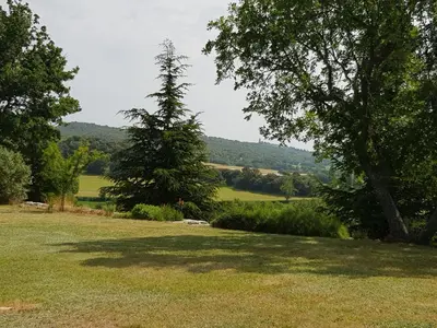 a field with two trees in the middle of it at Les Néfliers chambre d'hôtes in Céreste