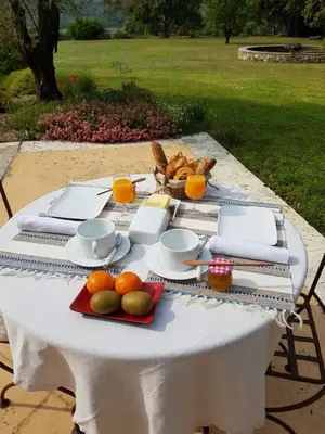a table with a plate of food and fruit on it at Les Néfliers chambre d'hôtes in Céreste
