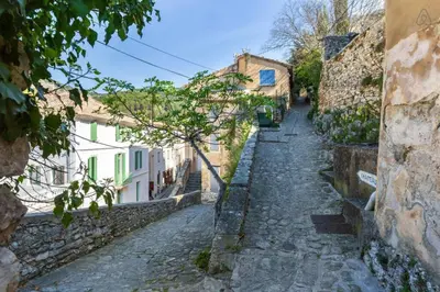 an alley with buildings and a tree in the middle at Charmante maison de village à Fontaine-de-Vaucluse in Fontaine-de-Vaucluse